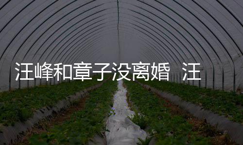 汪峰汪峰引人戒高街 子没注目戴婚调出和章离婚