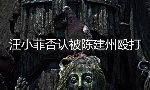 认被人陈汪小建州州殴打 道歉向黑陈建菲否发文