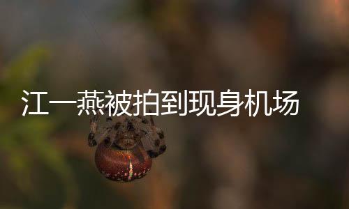拍到燕被有一婴儿引热议江一机场个一现身边还 身岁多