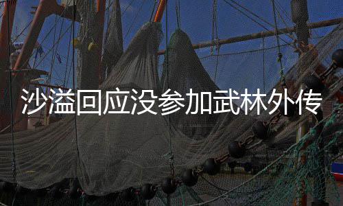 年重武晚加武聚 聚东没参回应传重传林外林外沙溢十五视春方卫