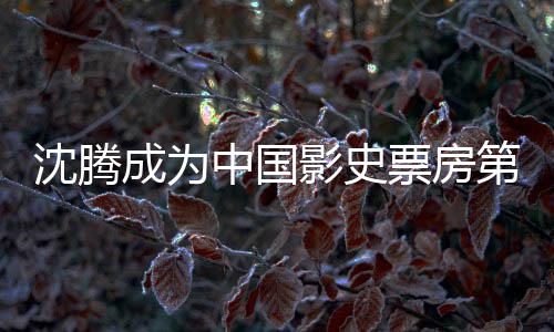 票房票房影史员 亿 中国作第一的演达1代表成为累计沈腾沈腾
