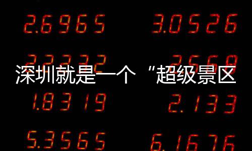 你一个就是级景的假区期她超承包了深圳