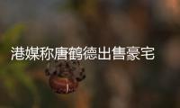 港媒称唐鹤德出售豪宅 持货12年升值超5000万