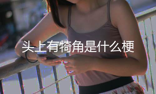 有犄头上角是梗什么