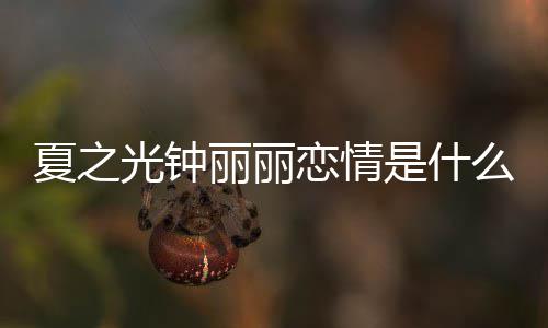 介绍么情资料光钟光钟个人夏之夏之况 丽丽恋情丽丽是什是谁