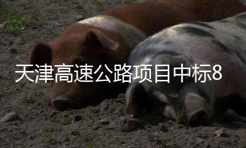 天津中标高速公路8个项目标段