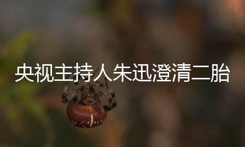那是人朱闻央视胎传麦包主持迅澄清二