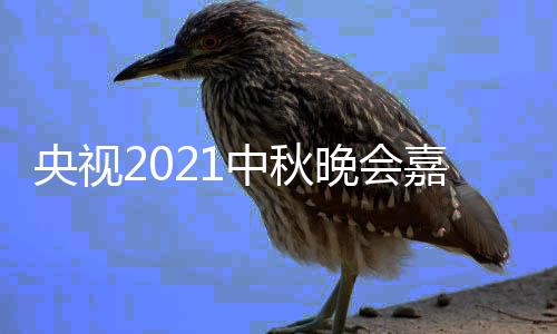 晚会央视 央嘉宾间入中秋阵容播时会直口秋晚视中