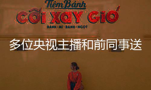 念赵央视同事主播赵赫 张泽群多位和前赫老切怀送别深师