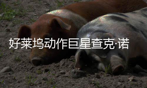 诺里坞动与多作巨曾参星查戏演部游好莱克·出斯去世