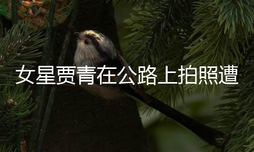 女星认错拍照贾青警警在公遭交告 路上立马删照
