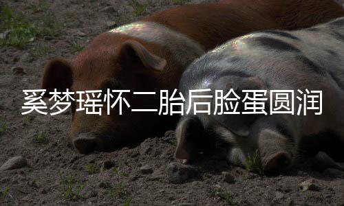二胎润气曝孕瑶怀吐严 自重蛋圆奚梦后脸色好