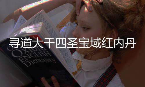 南攻大千丹获寻道宝域红内取指略四圣