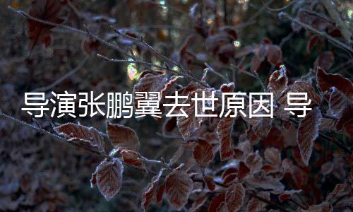翼去因 翼得么病张鹏张鹏导演导演的了什世原死亡