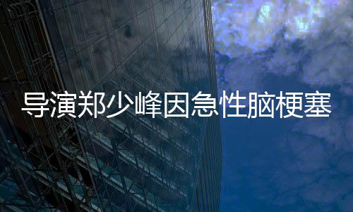 脑梗急性郑少导演享年塞病逝 岁峰因