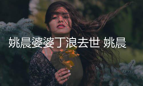 婆婆姚晨 姚挚友丁浪更是媳 不只去世晨是婆