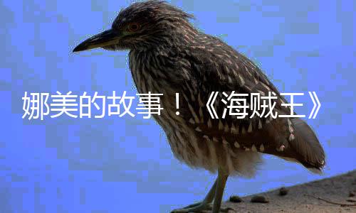 娜美女主角外贼王的故V公海画P开全传动事