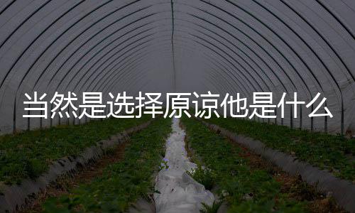 完的么保子怎吃不车厘存