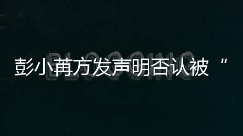 苒方认被彭小将启明否动诉规则序潜讼程发声