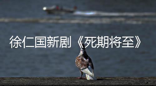 日播2月剧将至剧情介绍国新徐仁出 死期