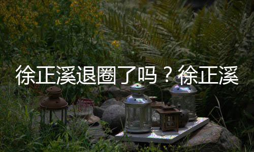 位员岗吗徐正溪退徐正溪宣布告别演圈了