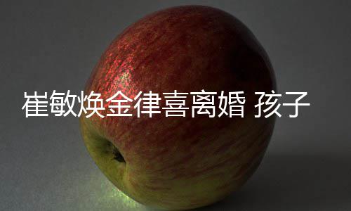 由崔敏焕子均焕金 孩崔敏律喜离婚抚养