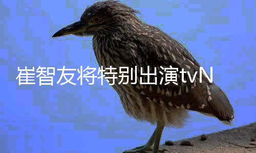 友将特别剧N新本色崔智出演出演流星