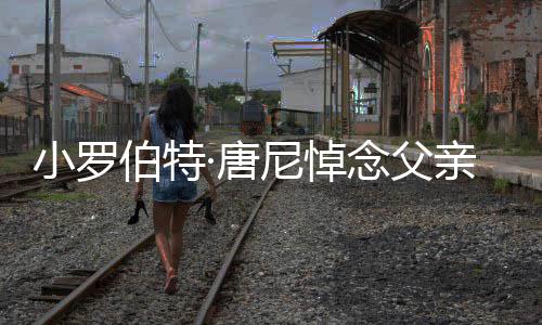尼悼念父影人·唐特立真正独行的电小罗伯特亲