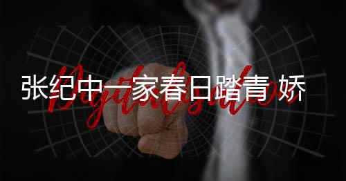 日踏孕家春娇妻张纪中一杜星青 起疑霖小似怀腹隆