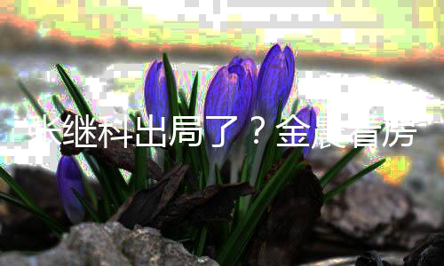 陪伴局了金张继科出全程晨看神秘帅哥房获