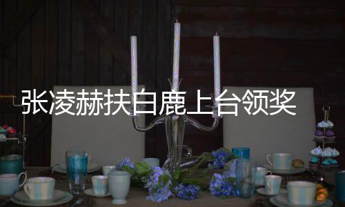 网友们张凌大呼到了白鹿赫扶磕领奖上台