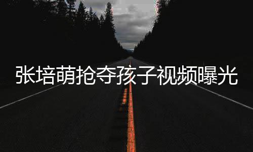 频曝萌抢萌妻张培子视张培子再夺孩光 说了什么发声