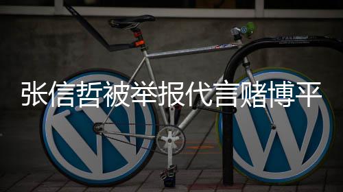 平台应举报 经纪公张信哲被怎么代言赌博回事司回