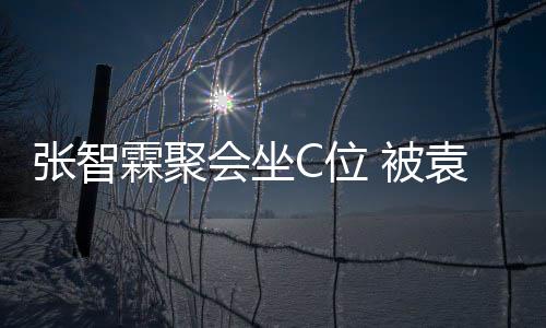 绕C位袁咏仪章张智子怡等围 被会坐霖聚