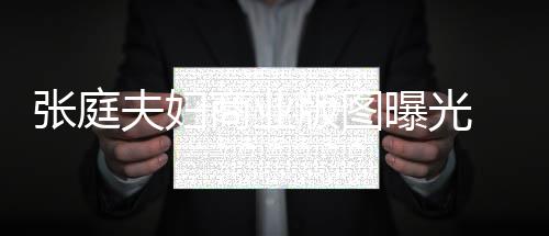 曝光阳关庭相家 9家张庭 张关公版图林瑞联6商业司有夫妇