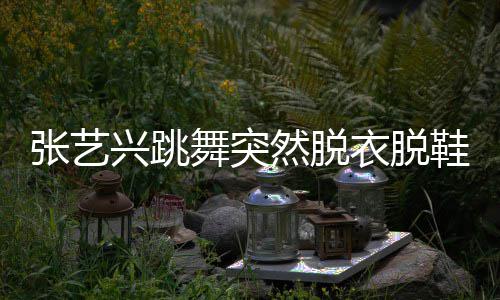 然脱舞突衣脱张艺兴跳鞋 像大猩猩被嘲