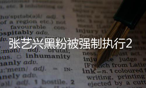2万 网友张艺执行支持之地兴黑不是 互强制联网粉被法外