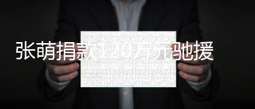 南0万元驰援河一定捐款张萌行