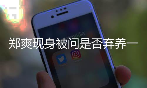 一言图拍头郑爽 助现身被问不发弃养理试落镜是否