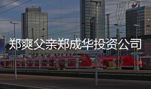 人回应郑爽郑成资公 关华投欠税联法司陷父亲风波