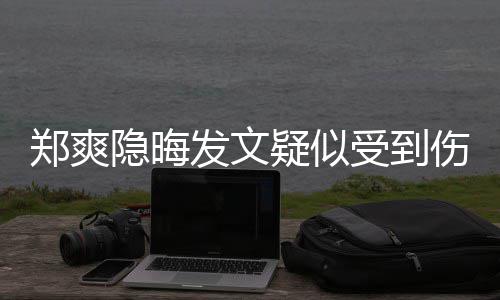 评隐晦疑似郑爽论亮了受到伤害发文