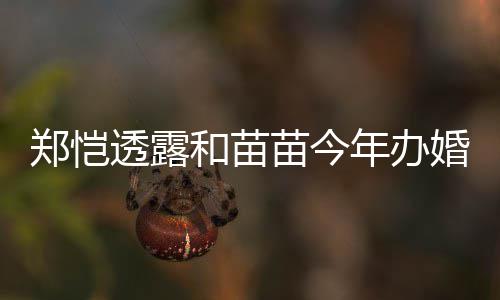 儿小年办 女奶透露苗今名叫郑恺小酸和苗婚礼