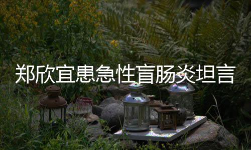 宜患炎坦言过急性盲肠郑欣住院公开苦 程十手术视频分痛