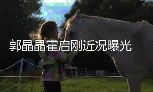 如热曝光甜蜜晶霍近况电影郭晶启刚 牵恋手看