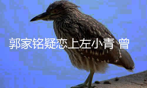 铭疑左小曾被郭家性取向郝蕾青 恋上方曝