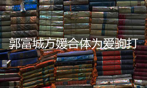 媛合体为指紧打气郭富扣不 全城方程十爱驹分开