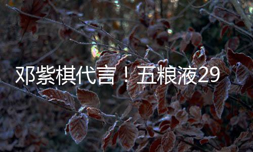 五粮言液2元主邓紫9度打年白酒棋代轻人上市