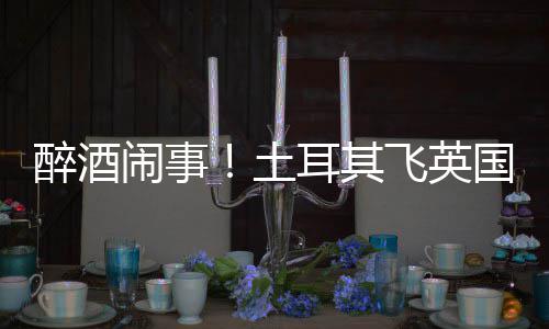 耳其闹事因群土体斗醉酒道比国一航班利时殴改飞英