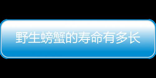 完的么保子怎吃不车厘存