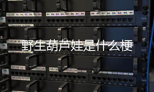 娃是野生梗葫芦什么
